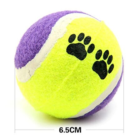 3&amp;apos;lü Renkli Desenli Tenis Topu Kedi Köpek Oyuncağı