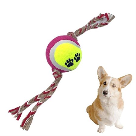 Renkli Halat Ve Tenis Toplu Yumaklı Köpek Çekiştirme Halat Oyuncağı (3877)