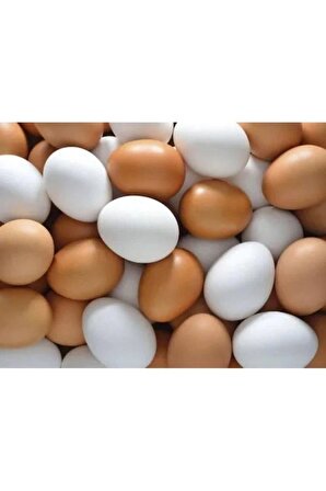 20 Adet Pvc Sahte Tavuk Yumurtası Tavuk Folluk Yapay Yumurta ( Sarı -Beyaz)
