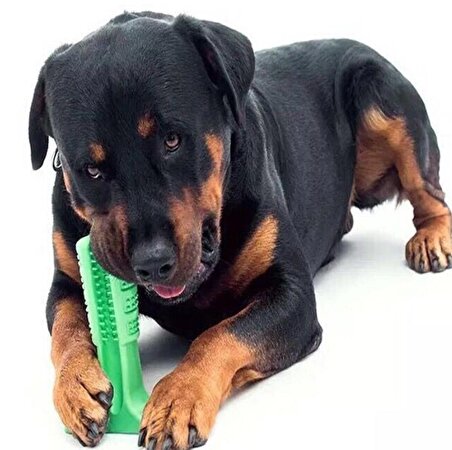 Köpek Diş Fırçası Isırma Aparatı Büyük Boy (3984)