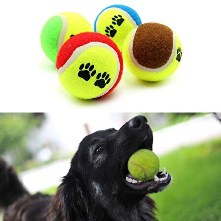 3&amp;apos;lü Renkli Desenli Tenis Topu Kedi Köpek Oyuncağı (3984)