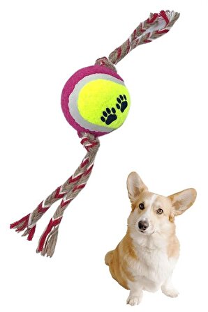 Renkli Halat Ve Tenis Toplu Yumaklı Köpek Çekiştirme Halat Oyuncağı (3984)