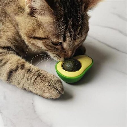 Avokado Model Yapışkanlı Kedi Oyuncağı Yenilebilir Kedi Nanesi Otu (3984)