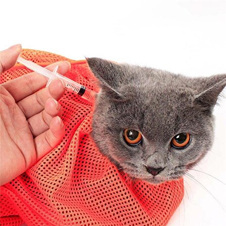 Kedi Bakımı Filesi Kedi Aşı Tırnak Kesme Duş Yıkama Filesi