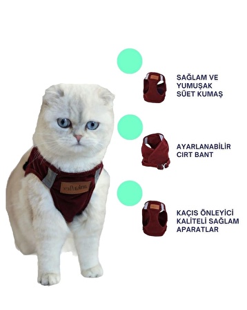 Kedi Göğüs Tasması Kedi Gezdirme Tasması Kediler Için Özel Üretim Yeni Nesil (TASMA DAHİL)