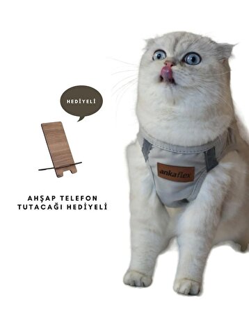 Kedi Göğüs Tasması Kedi Gezdirme Tasması Kediler Için Özel Üretim Yeni Nesil (TASMA DAHİL)