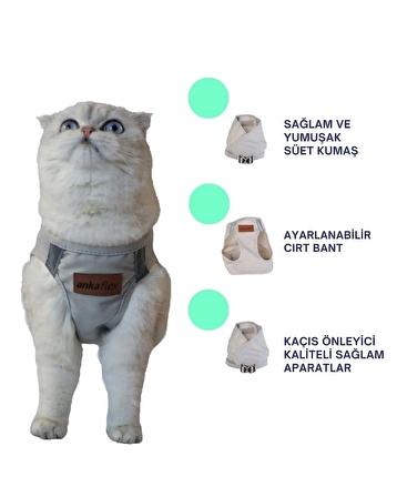 Kedi Göğüs Tasması Kedi Gezdirme Tasması Kediler Için Özel Üretim Yeni Nesil (TASMA DAHİL)