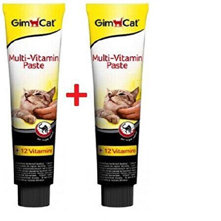 Gimcat Multi Vitamin Paste 100gr x 2 Adet