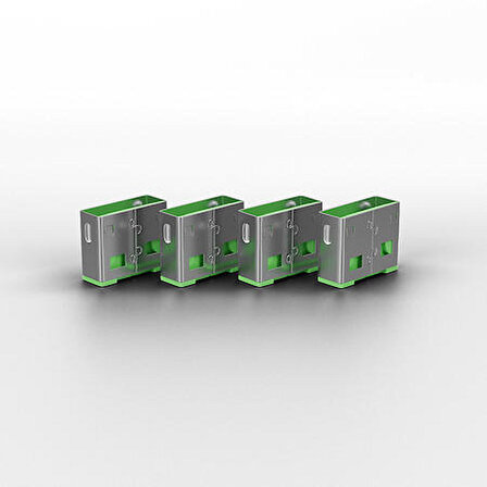 Lindy LIN-40461 10 lu USB A Yeşil Port USB Kiliti