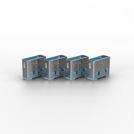 Lindy LIN-40462 10 lu USB A Mavi Port USB Kilidi