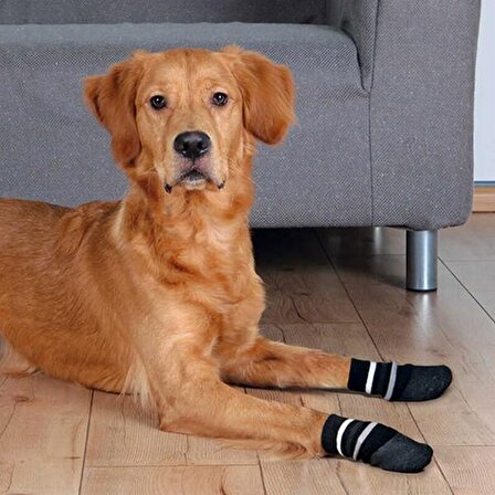 Trixie Köpek Çorabı, Kaymaz Xs-S, 2 Adet 