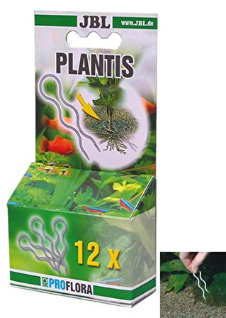 Jbl Plantis Bitki Mandalı - 12 Adet