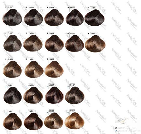 Goldwell Topchic Hair Color saç boyası 60 ml 6NBK -Dark Bld Refl Gold Topaz