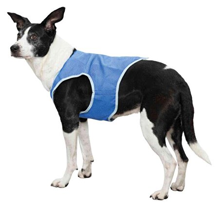 Trixie Köpek Soğutucu Yelek, L : 35cm, Mavi
