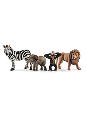 Schleich WL Başlangıç Seti