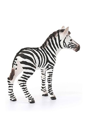 Schleich Yavru Zebra Figür