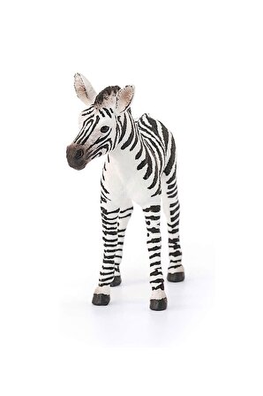 Schleich Yavru Zebra Figür