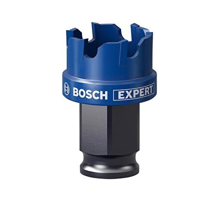Bosch 25 mm Çelik-İnox İçin Özel Seri Panç 2608900494