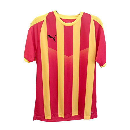 Puma Kc Liga Jersey Striped Erkek Çok Renkli Tişört