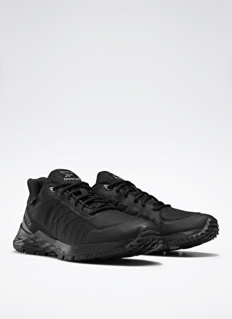 Reebok Siyah - Gri Kadın Outdoor Ayakkabısı EF4179ASTRORIDE TRAIL GTX 2.0