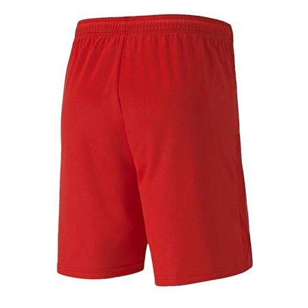 Puma 704262 Teamgoal 23 Knıt Shorts