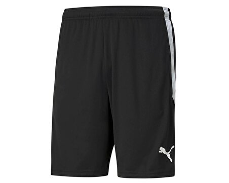 Puma Teamliga  Training Shorts Erkek Futbol Maç Şortu 65724903 Siyah