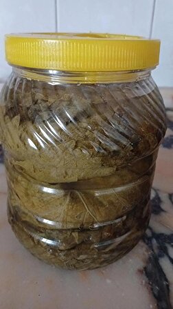 Manisa Yaprağı Kılçıksız Damarsız 2 kg lık Bidonda net 1 kg