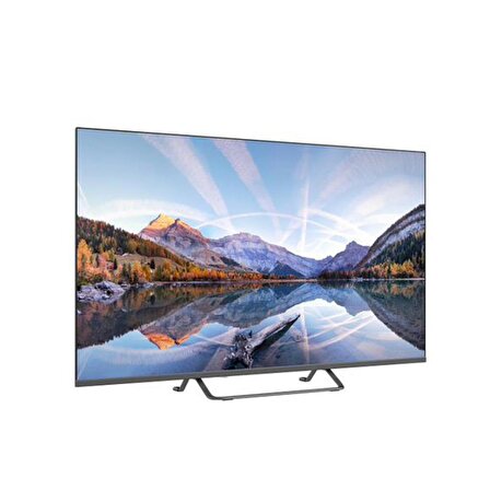 PROFİLO 55PA515ESG ANDROID SMART GRİ LED TV