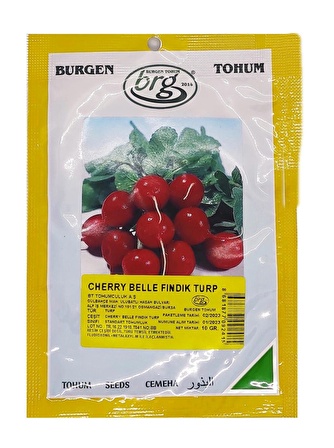 Fındık Turp (10 Gr) BT