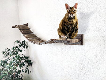 Kedi Tırmalaması | KediMerdiveni |Kedi Yatağı | Ahşap Basamakları