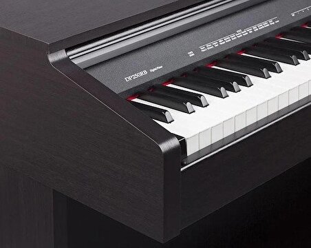 Medeli DP250 RB Dijital Piyano (Venge)