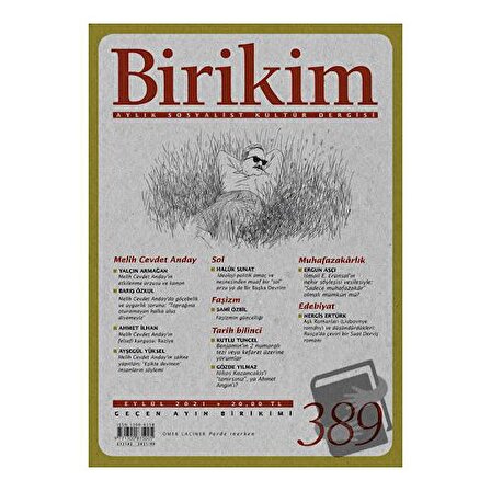 Birikim Aylık Sosyalist Kültür Dergisi Sayı: 389 Eylül 2021 / Birikim Yayınları