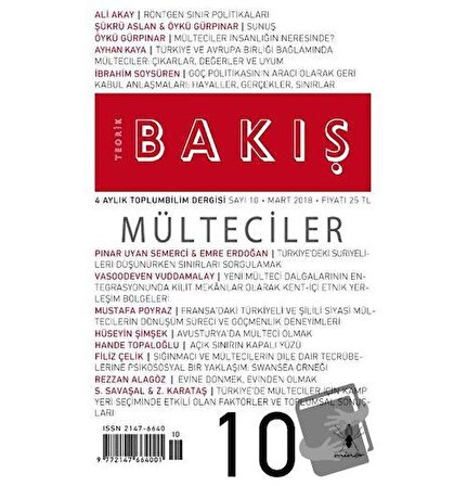 Teorik Bakış Sayı: 10 / Minör Yayınları