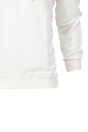 Erkek Mevsimlik Dior Premium Pamuklu Kumaş iki iplik Sweatshirt Logolu Model Regular Fit