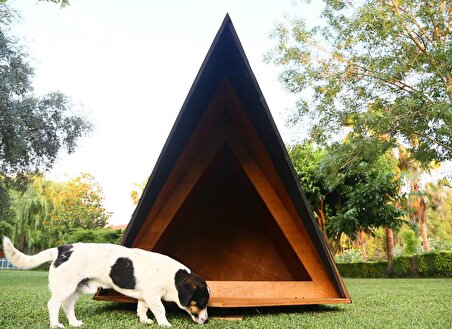 Mandu Ahşap Köpek Kulübesi (A Frame)