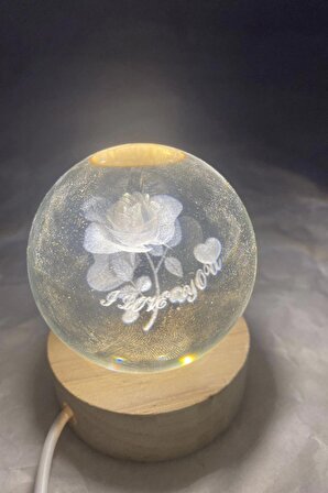 3D Led Işık Cam Küre Çiçek Gül