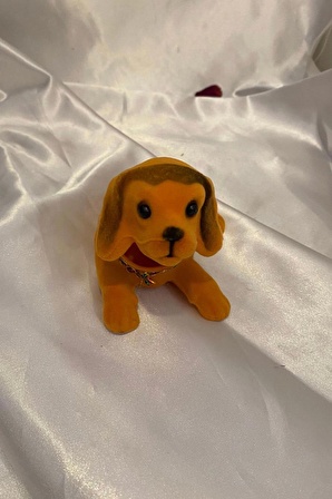 Golden Retriever Kafa Sallayan Köpek Başını Sallayan Köpek Sallanan Köpek
