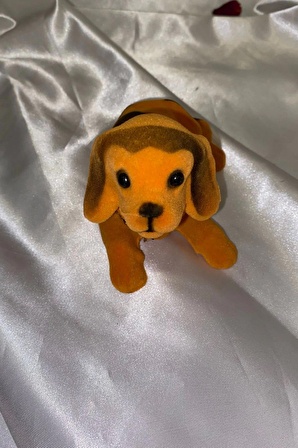 Golden Retriever Kafa Sallayan Köpek Başını Sallayan Köpek Sallanan Köpek