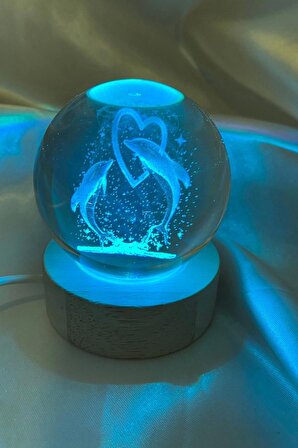 3D Led Işık Cam Küre Çok Işıklı Ahşap Kalp Yunus