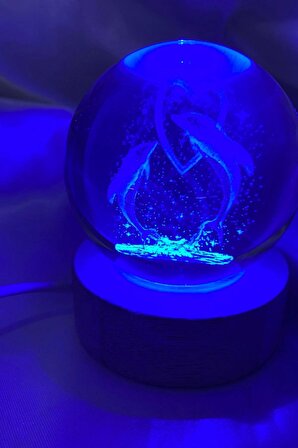 3D Led Işık Cam Küre Çok Işıklı Ahşap Kalp Yunus