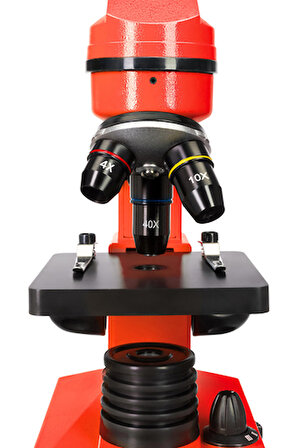 Levenhuk Raınbow 2L Orange/Portakal Mikroskop (TR)