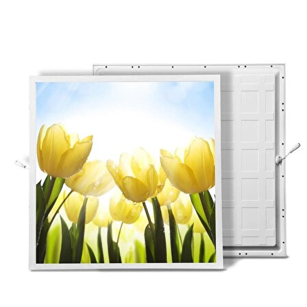 Gök Panel 60X60 LED Panel Sıva Altı Desenli Tekli 46510323SA