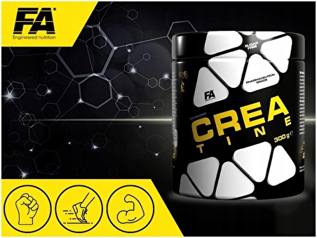 FA NUTRITION Creatine Monohydrate 300 gram