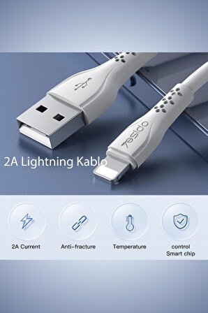 CA71 1M 2.4A 480 MB/s Transfer Hızlı Fuchsia Usb to Lightning Hızlı Şarj Kablosu
