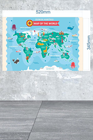 Çok Renkli Eğitici Öğretici Çocuk Odası Dünya Haritası