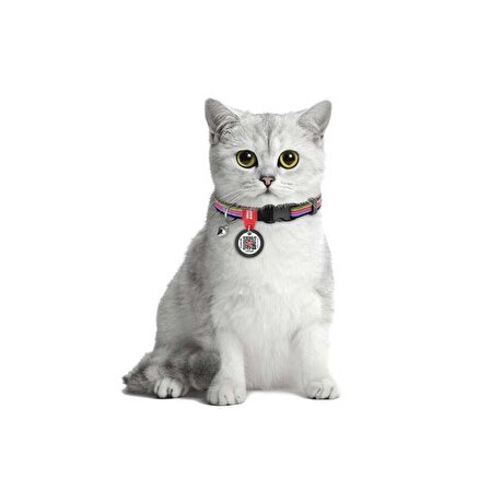Collar QR Pasaportlu Kedi Boyun Tasması 20-30 Cm 10 MM "Line"