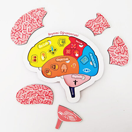 Beynimi Öğreniyorum Ahşap Puzzle - Çocuk Yapboz - 5 Yaş ve Üzeri Eğitime Yardımcı Oyuncak