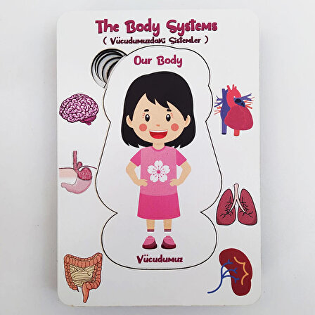 Vücudumuzdaki Sistemler Yapboz - İngilizce ve Türkçe - Kız Çocuk Puzzle - 5 Yaş ve Üzeri Eğitime Yardımcı Oyuncak