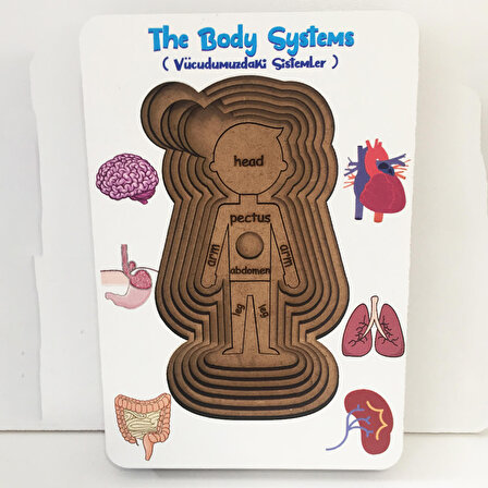 Vücudumuzdaki Sistemler Yapboz - İngilizce ve Türkçe - Erkek Çocuk Puzzle - 5 Yaş ve Üzeri Eğitime Yardımcı Oyuncak