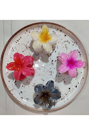 Rengarenk Lotus Çiçeği Mandal Toka 4'lü 8 CM